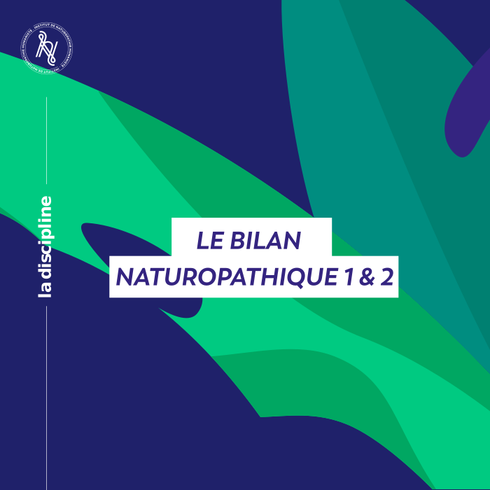 Les ateliers sur le bilan vital : une partie essentielle pour pratiquer comme naturopathe
