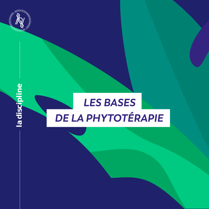 Découvrez la phytothérapie avec Aude Richard