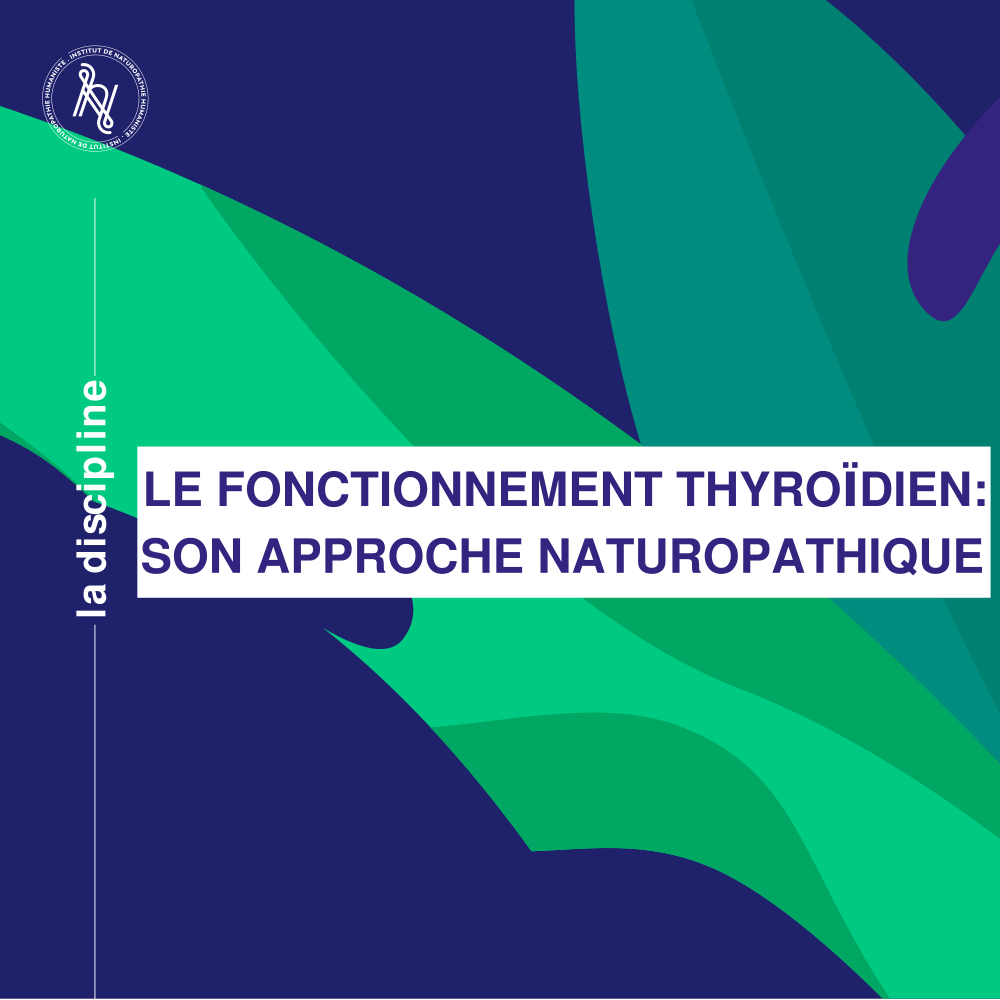 Comprendre la Thyroïde : Signes, Dysfonctions et Approches Naturopathiques