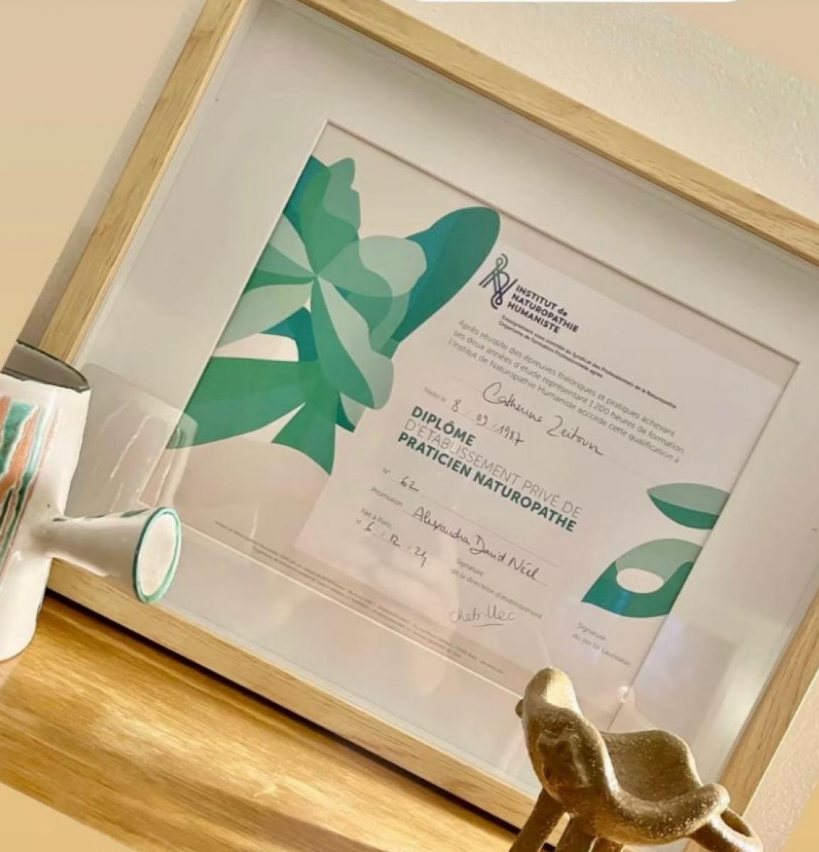 Quelle est la meilleure école de naturopathie de France?
