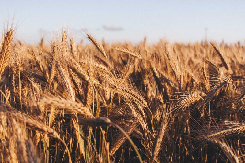 Selon moi, l’homme appartient à un terroir… (Par Odile Chabrillac)